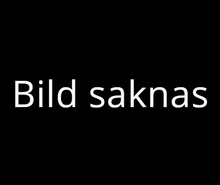 Vit text mot svart bakgrund lyder "Bild saknas". Inga andra element syns i bilden.